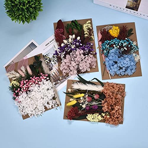 Даларан 6 пакет со притискање на сушени цвеќиња повеќе шарени притиснати цвеќиња за занаетчиски смола накит